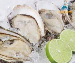 Hàu nửa mảnh đông lạnh